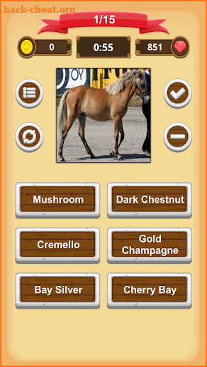 Horse Coat Colors Quiz screenshot