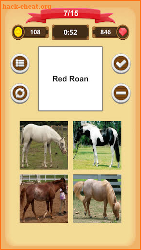 Horse Coat Colors Quiz screenshot