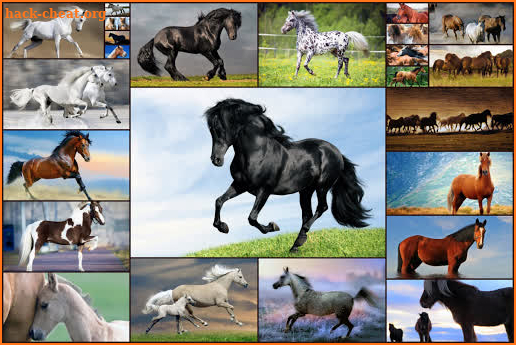 Horse Jigsaw Puzzles Game - For Kids & Adults 🐴 screenshot