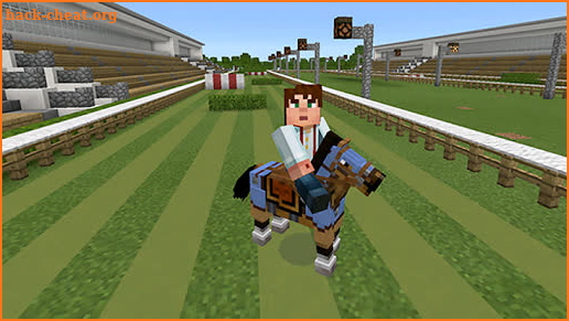 Horse mods for Minecraft screenshot