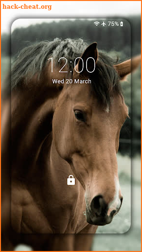 Horse Wallpaper HD : backgrounds & themes screenshot