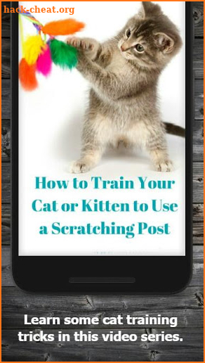 How to Train Your Cat screenshot