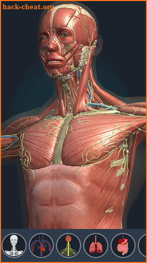 Human Anatomy 3D screenshot