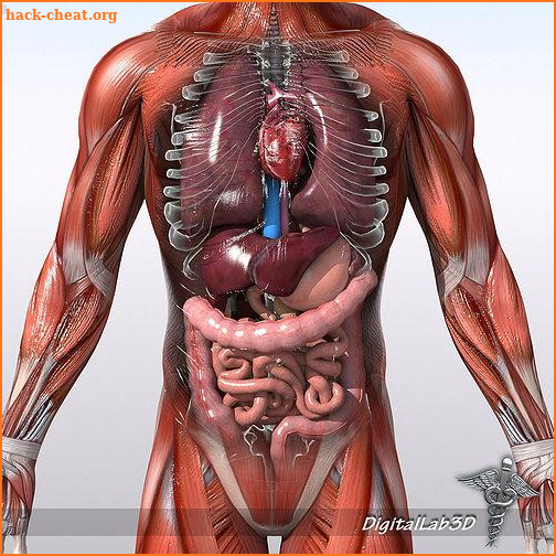 Human Anatomy 3D For Edication screenshot