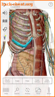 Human Anatomy Atlas screenshot