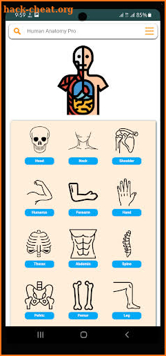 Human Anatomy Pro screenshot