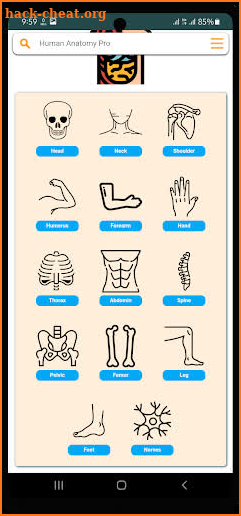 Human Anatomy Pro screenshot