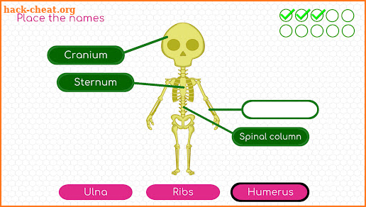 Human body adventure for kids screenshot