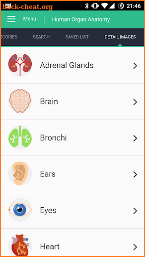 Human Organs Anatomy Reference Guide screenshot