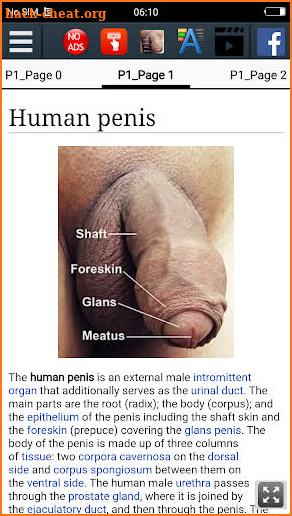 Human Penis : Educational App screenshot