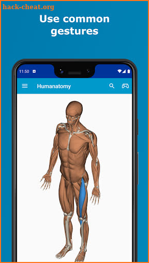 Humanatomy screenshot