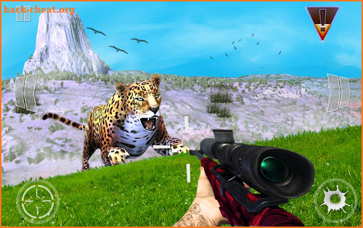 Hunting Jungle Wild Animals screenshot