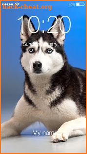 Husky Lock Screen Wallpaper Password Pin screenshot