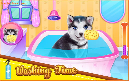 Husky Puppy Spa Salon screenshot