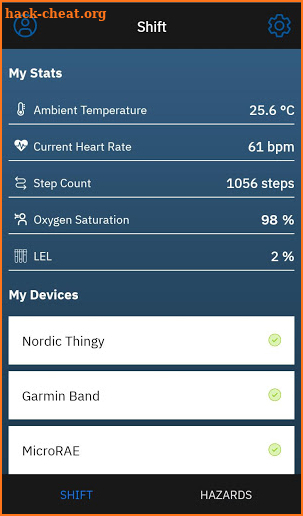 IBM Maximo Worker Insights screenshot