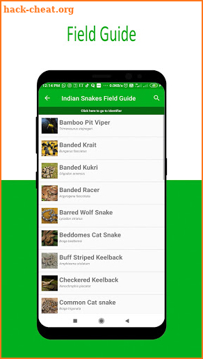 Identify Indian Snakes - by Photos screenshot
