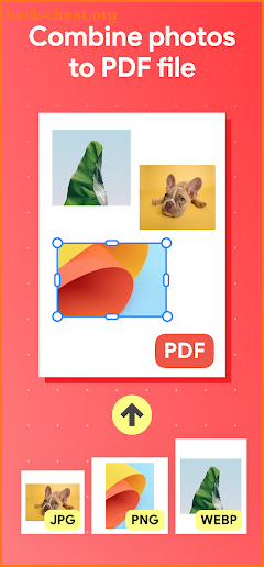 Image to PDF - JPG to PDF screenshot