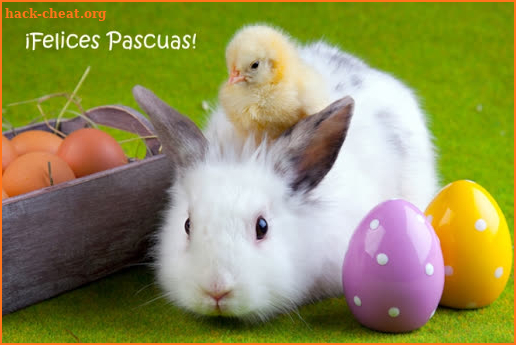 Imagenes de felices pascuas screenshot