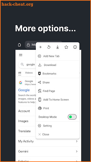 Incognito Browser Pro screenshot