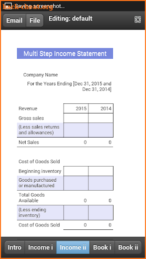 Income Statement Mobile screenshot