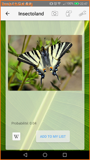 Insect Identification screenshot