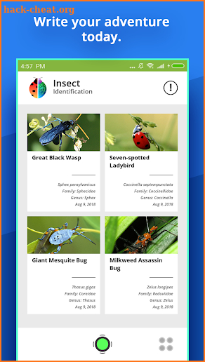 Insect Identifier screenshot