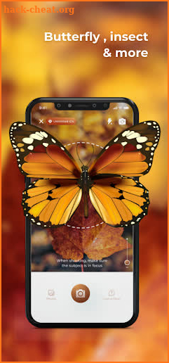 Insect Identifier - Bug identifier app screenshot