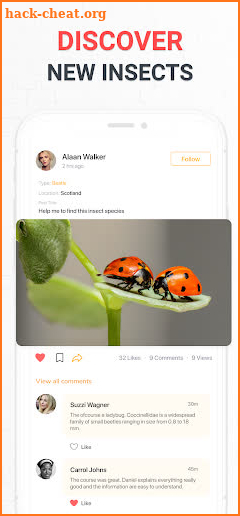 Insect Identifier Bug Identify screenshot