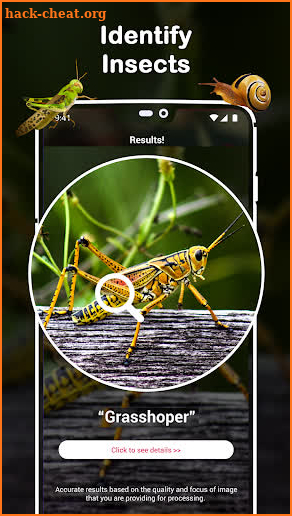 Insect Identifier : Insect ID, AI Photo Camera screenshot