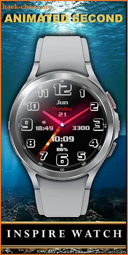 Inspire X - Analog Watch Face screenshot