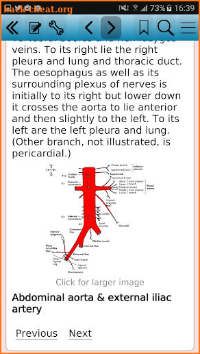 Instant Anatomy, 5th Edition screenshot