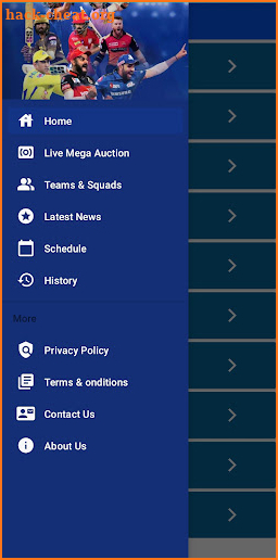 I.P.L. Mega Auction live screenshot