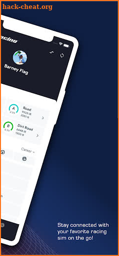 iRacing Companion screenshot