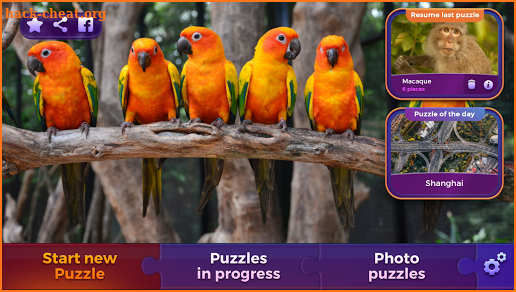 Jigsaw Puzzles: Animals screenshot