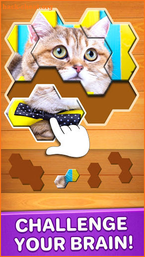 Jigsaw Puzzles Hexa 🧩🔥🎯 screenshot