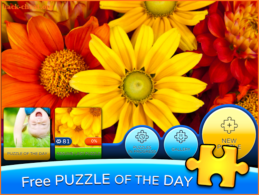 Jigsaw puzzles PuzzleMaster screenshot