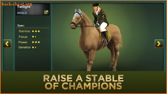 Jumping Horses Champions 2 screenshot