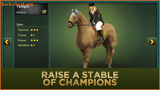 Jumping Horses Champions 2Free screenshot