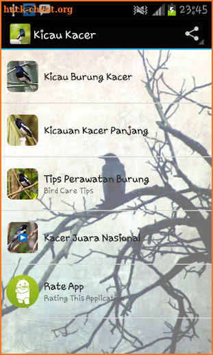 Kacer Birds screenshot