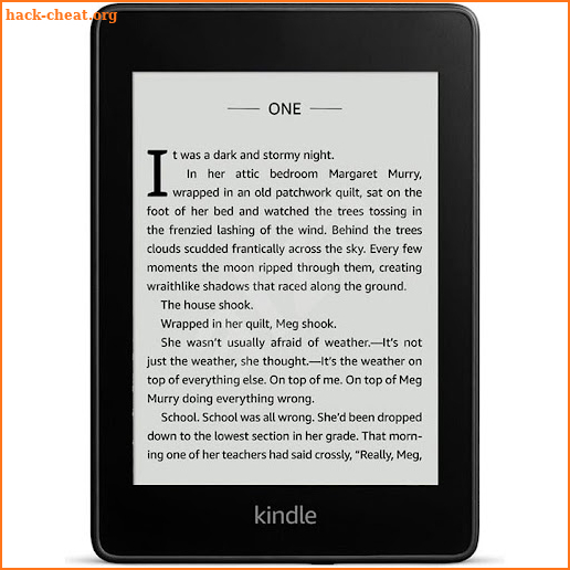 kindle ebook screenshot