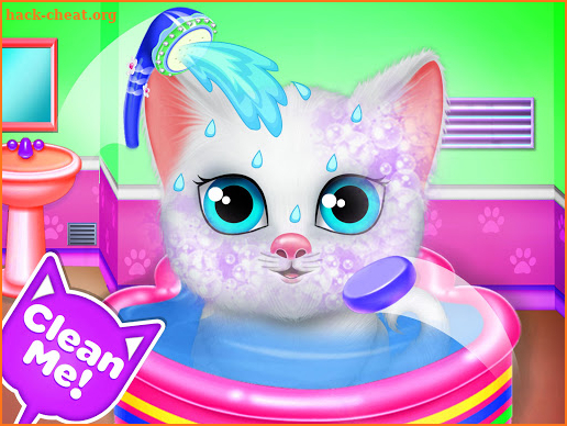 Kitty Care Cute Pet Nursery Daycare screenshot