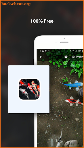 Koi Acquario Live Wallpaper screenshot