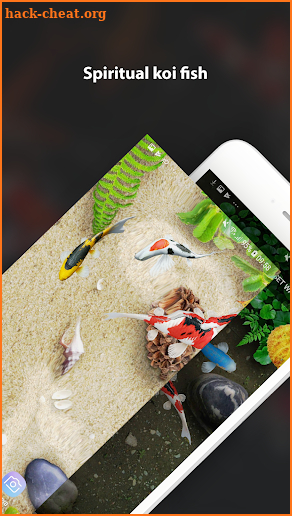 Koi Acquario Live Wallpaper screenshot