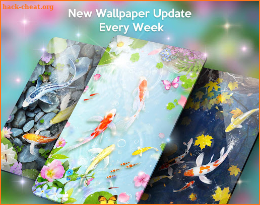 Koi Fish Live Wallpaper Themes screenshot