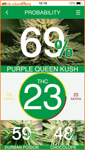 Kush Scan - recognize cannabis screenshot