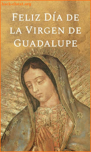 La Virgen de Guadalupe screenshot