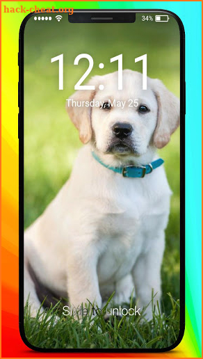 Labrador  Retriever Puppies HD Pattern Lock Screen screenshot