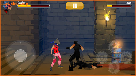 Ladybug Samurai Vs Ninja Fight 3d screenshot