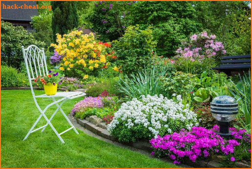 Landscape Garden Design Ideas screenshot