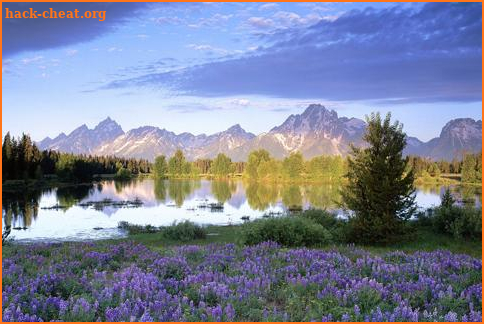 Landscape Jigsaw puzzles 4In 1 screenshot